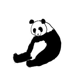 Creation of Panda: Step 2